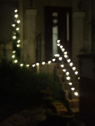 2010_12120036.JPG